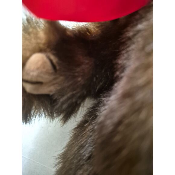 Bearington Bear Collection Baby Heartford 1917S - Picture 7 of 10